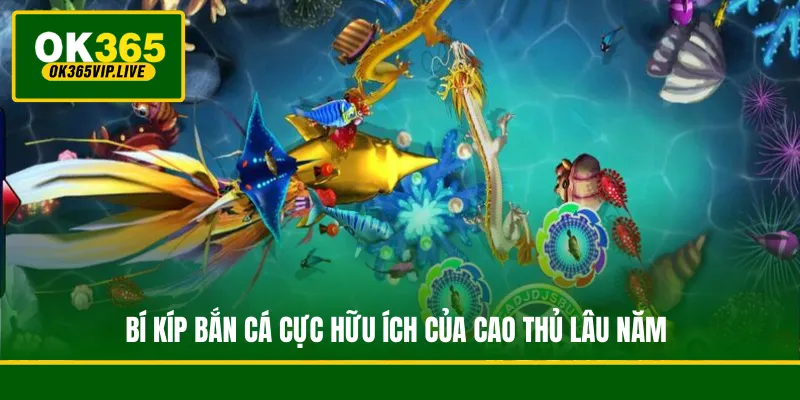 Bí kíp bắn cá cực hữu ích của cao thủ lâu năm