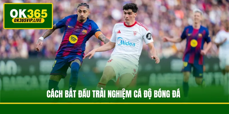 Cách bắt đầu trải nghiệm cá độ bóng đá