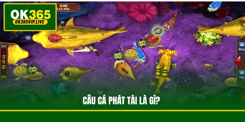 Câu Cá Phát Tài là gì?