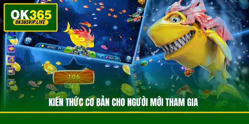 Kiến thức cơ bản cho người mới tham gia