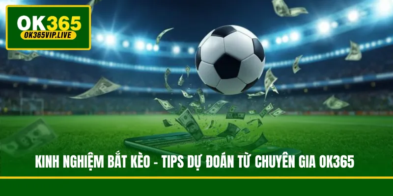 Kinh Nghiệm Bắt Kèo - Tips Dự Đoán Từ Chuyên Gia OK365