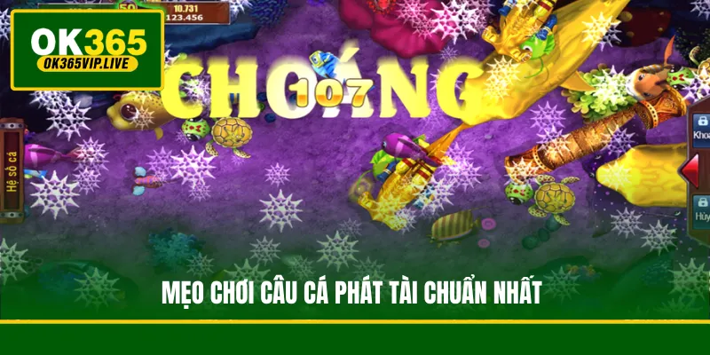 Mẹo chơi Câu Cá Phát Tài chuẩn nhất