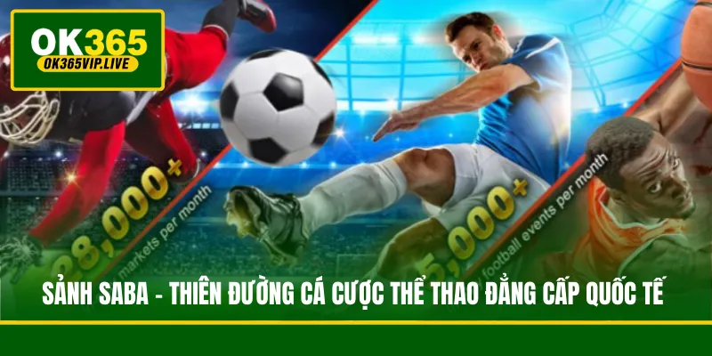 Sảnh SABA - Thiên Đường Cá Cược Thể Thao Đẳng Cấp Quốc Tế
