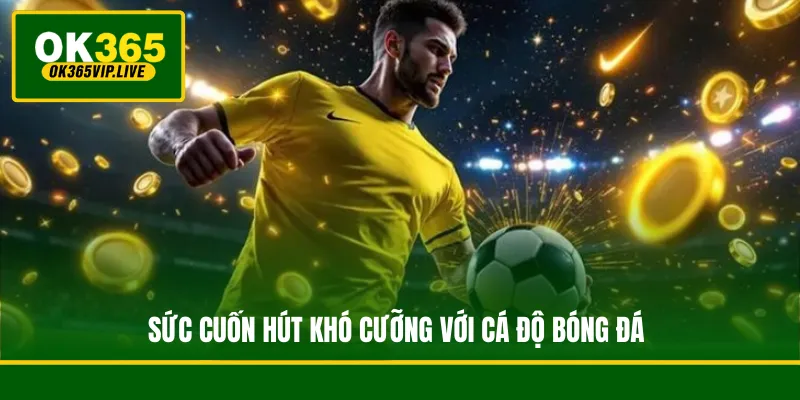 Sức cuốn hút khó cưỡng với cá độ bóng đá