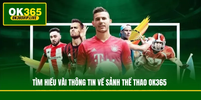 Tìm hiểu vài thông tin về sảnh thể thao OK365