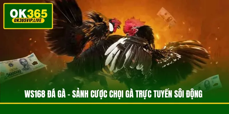 WS168 Đá Gà - Sảnh Cược Chọi Gà Trực Tuyến Sôi Động